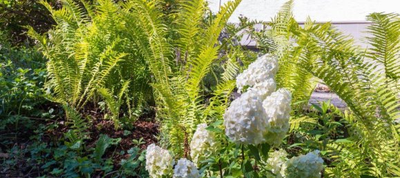 4-Zimmer Haus in Heiligenkreuz, Austria, Nr. 193161 29