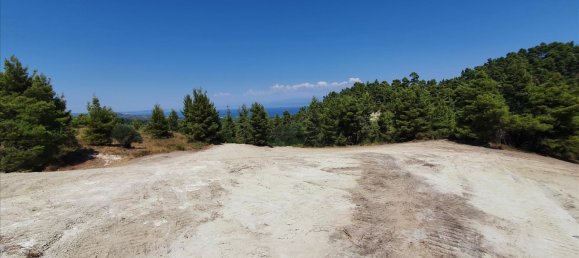 16000m² Hotel in Chalkidiki, Greece No. 4121 5