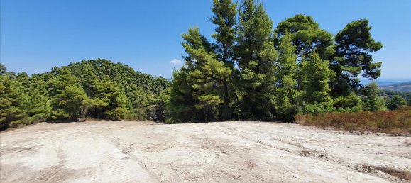 16000m² Hotel in Chalkidiki, Greece No. 4121 3