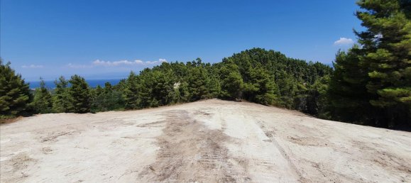 16000m² Hotel in Chalkidiki, Greece No. 4121 4