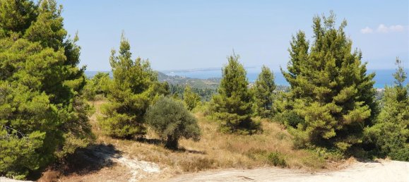 16000m² Hotel in Chalkidiki, Greece No. 4121 6