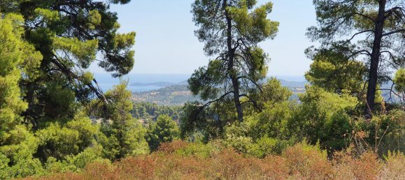 16000m² Hotel in Chalkidiki, Greece No. 4121 2