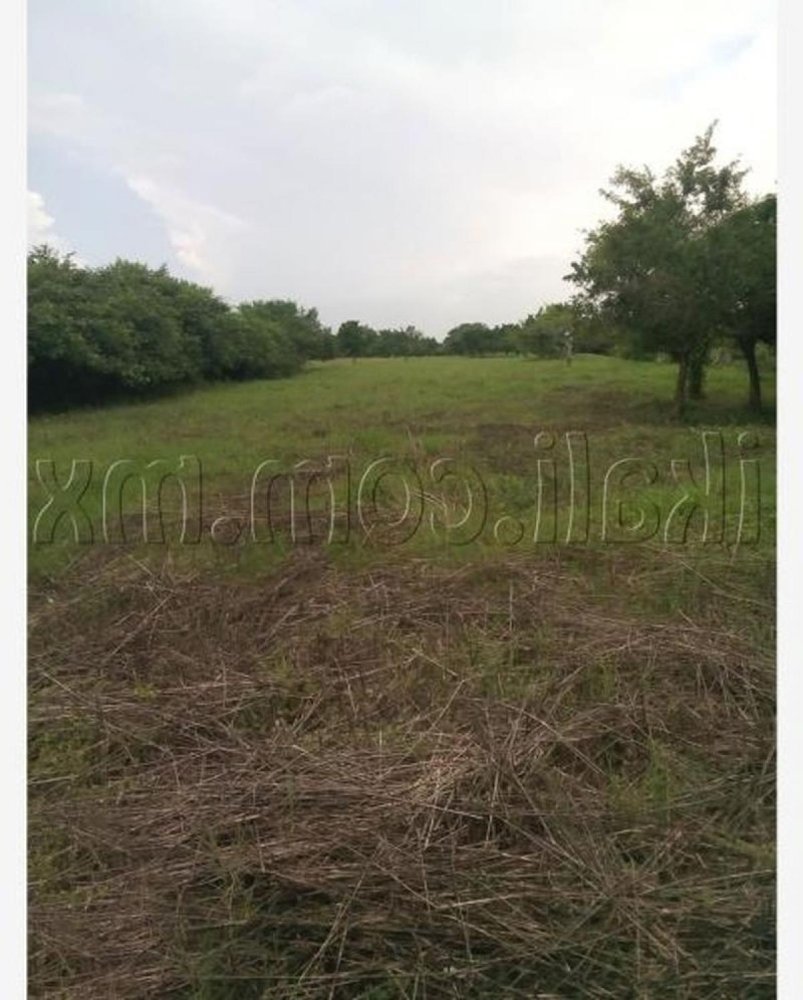  Land in Veracruz, Mexico No. 203998