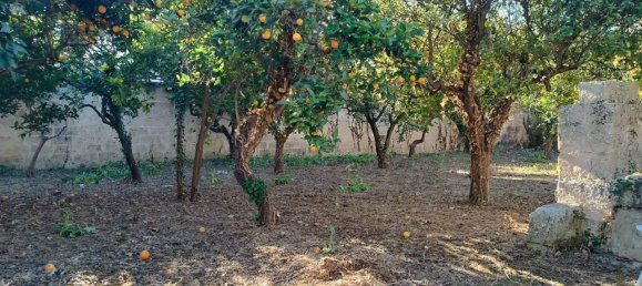 Terrain à Poggiardo, Italy 570m² No. 90672 7