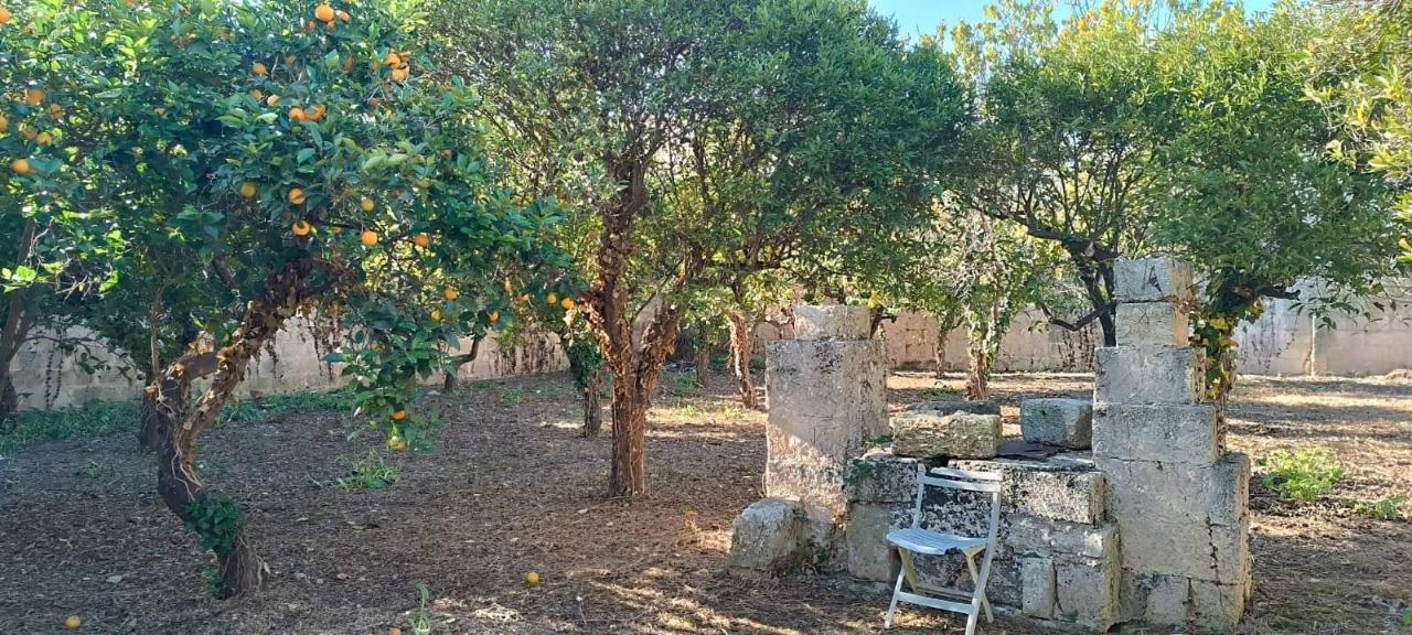 Terrain à Poggiardo, Italy 570m² No. 90672