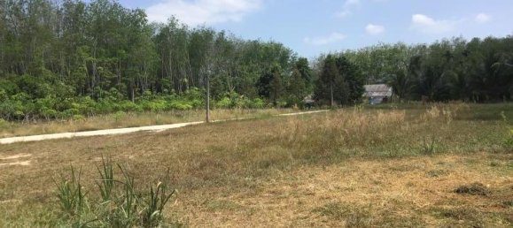 3200m² Commercial property in Khok Kloi, Thailand No. 8044 5