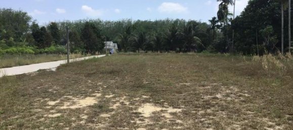 3200m² Commercial property in Khok Kloi, Thailand No. 8044 4