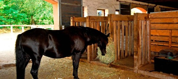 Quinta de 8 divisões em Ostprignitz-Ruppin, Germany N.º 24335 33