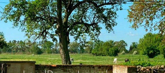 Quinta de 8 divisões em Ostprignitz-Ruppin, Germany N.º 24335 41