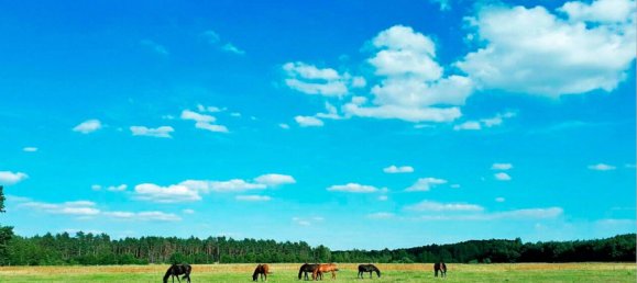 Quinta de 8 divisões em Ostprignitz-Ruppin, Germany N.º 24335 8