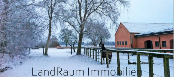 Quinta de 8 divisões em Ostprignitz-Ruppin, Germany N.º 24335 43