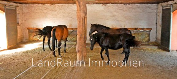 Quinta de 8 divisões em Ostprignitz-Ruppin, Germany N.º 24335 34