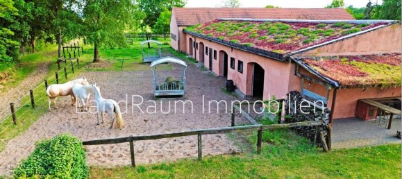 Quinta de 8 divisões em Ostprignitz-Ruppin, Germany N.º 24335 30