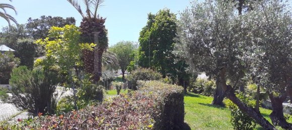 7 bedrooms Castles in Torres Novas, Portugal No. 49921 13