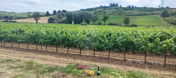 8 bedrooms Castles in Alenquer, Portugal No. 46287 7