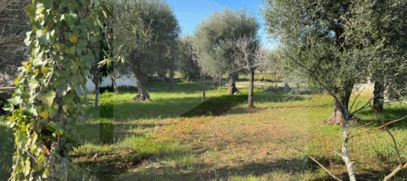 2 bedrooms Villa in Monopoli, Italy No. 20287 27