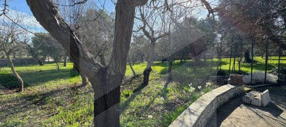 2 bedrooms Villa in Monopoli, Italy No. 20287 20