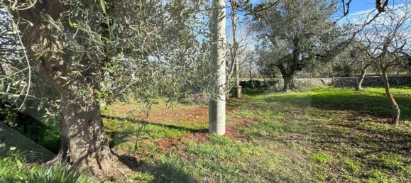 2 bedrooms Villa in Monopoli, Italy No. 20287 29