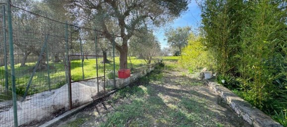 2 bedrooms Villa in Monopoli, Italy No. 20287 11