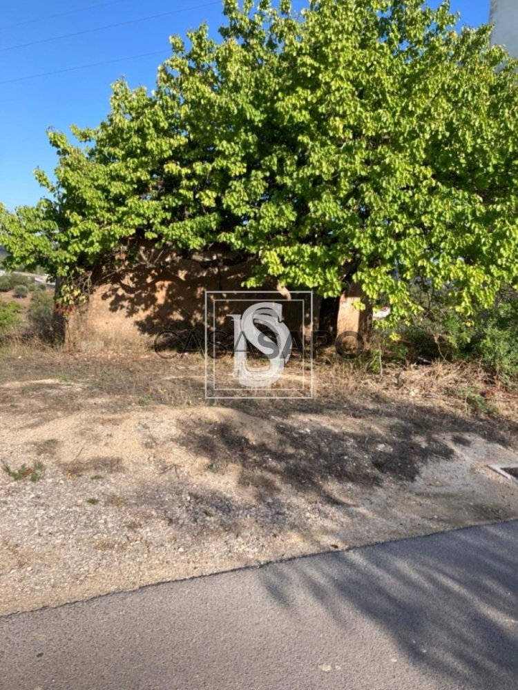 3 bedrooms House in Tomar, Portugal No. 200852