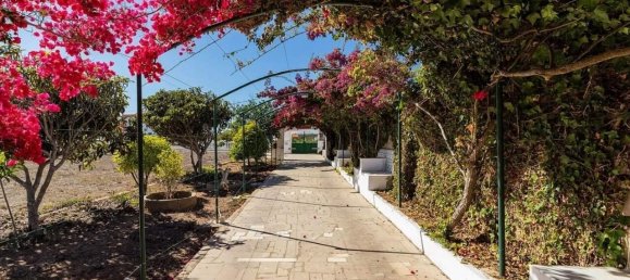 9 bedrooms House in Vila do Bispo, Portugal No. 186720 2