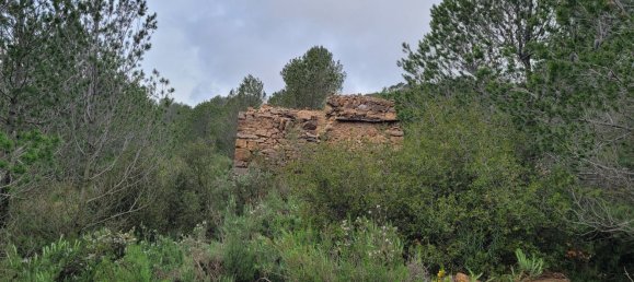 Grundstück in Borriol, Spain, Nr. 159668 4