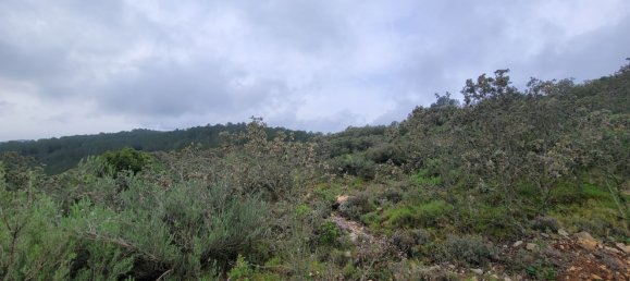 Grundstück in Borriol, Spain, Nr. 159668 2