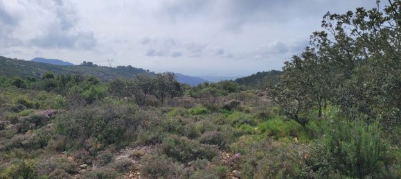 Grundstück in Borriol, Spain, Nr. 159668 10