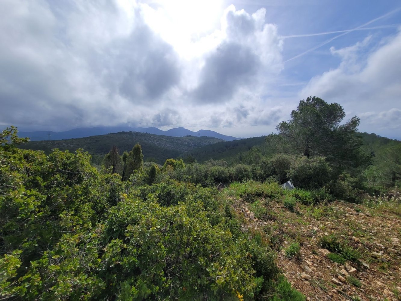 Grundstück in Borriol, Spain, Nr. 159668