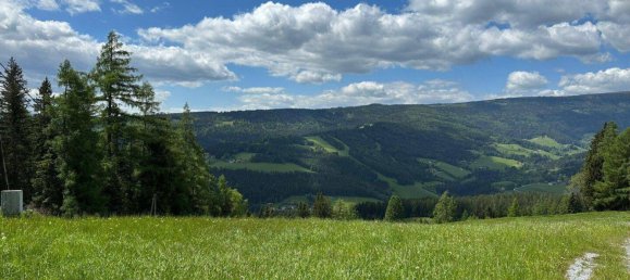 Дом с 5 комнатами в Хиршегг-Пак, Австрия № 177131 9