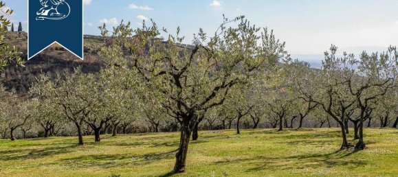 8 bedrooms Hotel in Assisi, Italy No. 66974 35