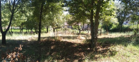 5 غرف نوم منزل في Viseu, Portugal رقم 58302 48