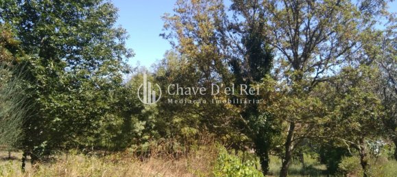 5 غرف نوم منزل في Viseu, Portugal رقم 58302 45