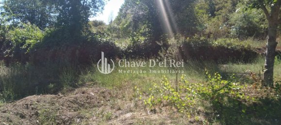 5 غرف نوم منزل في Viseu, Portugal رقم 58302 36