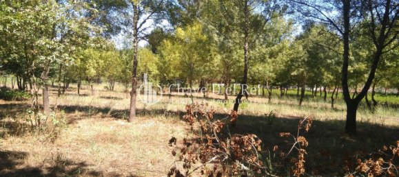 5 غرف نوم منزل في Viseu, Portugal رقم 58302 47