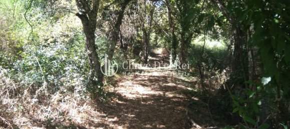 5 غرف نوم منزل في Viseu, Portugal رقم 58302 42