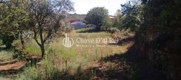 5 غرف نوم منزل في Viseu, Portugal رقم 58302 46