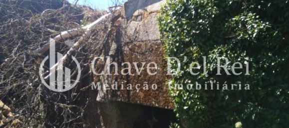 5 غرف نوم منزل في Viseu, Portugal رقم 58302 11