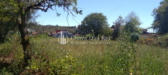 5 غرف نوم منزل في Viseu, Portugal رقم 58302 41