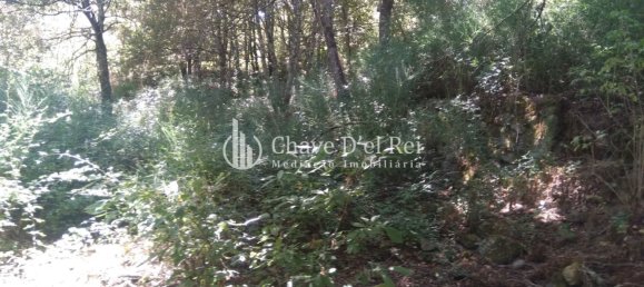 5 غرف نوم منزل في Viseu, Portugal رقم 58302 43