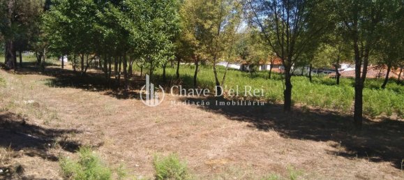 5 غرف نوم منزل في Viseu, Portugal رقم 58302 32