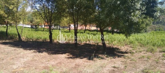 5 غرف نوم منزل في Viseu, Portugal رقم 58302 31