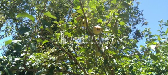 5 غرف نوم منزل في Viseu, Portugal رقم 58302 39