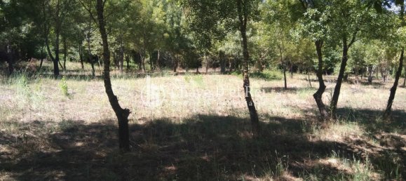 5 غرف نوم منزل في Viseu, Portugal رقم 58302 35