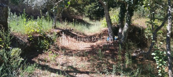 5 غرف نوم منزل في Viseu, Portugal رقم 58302 38