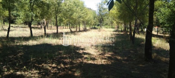 5 غرف نوم منزل في Viseu, Portugal رقم 58302 33