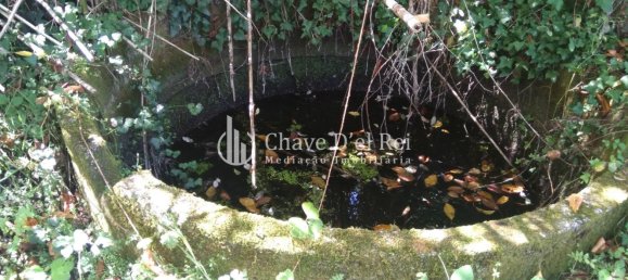 5 غرف نوم منزل في Viseu, Portugal رقم 58302 49