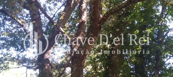 5 غرف نوم منزل في Viseu, Portugal رقم 58302 44