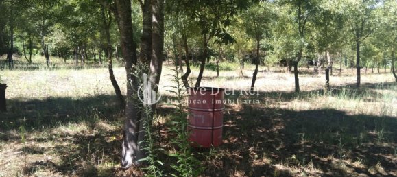 5 غرف نوم منزل في Viseu, Portugal رقم 58302 34