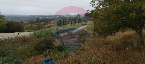 4 bedrooms House in Pombal, Portugal No. 186636 6